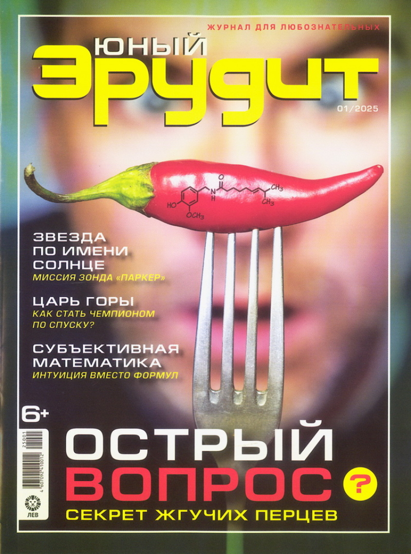 Junyj jerudit
