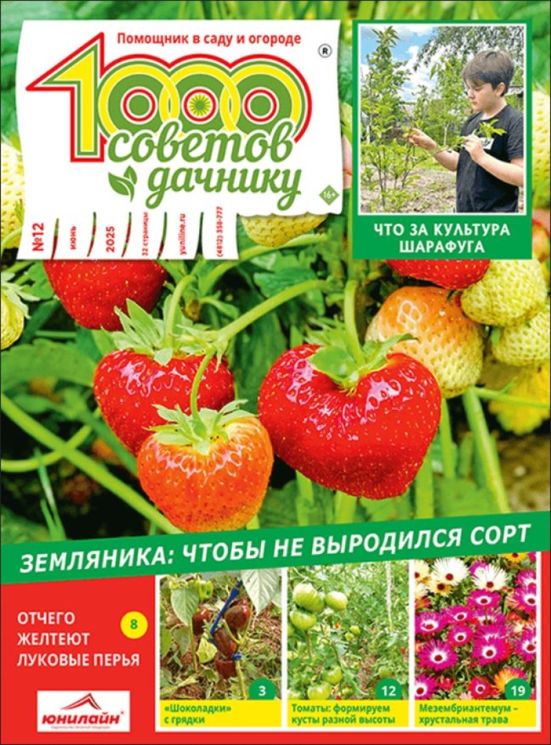 1000 sovetov dachniku 1000 sovetov dachniku