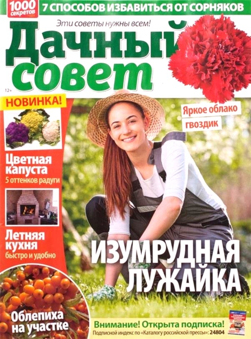 Dachniy sovet
