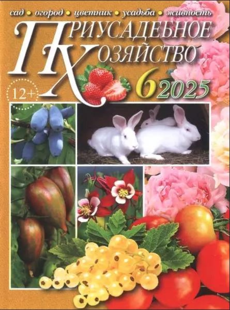 Priusadebnoe hozyajstvo Priusadebnoe hozyajstvo