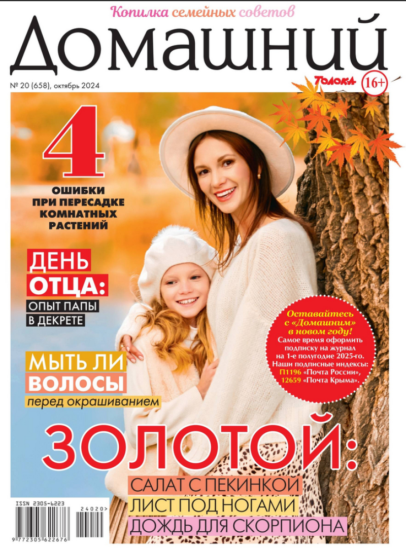 Domashnij