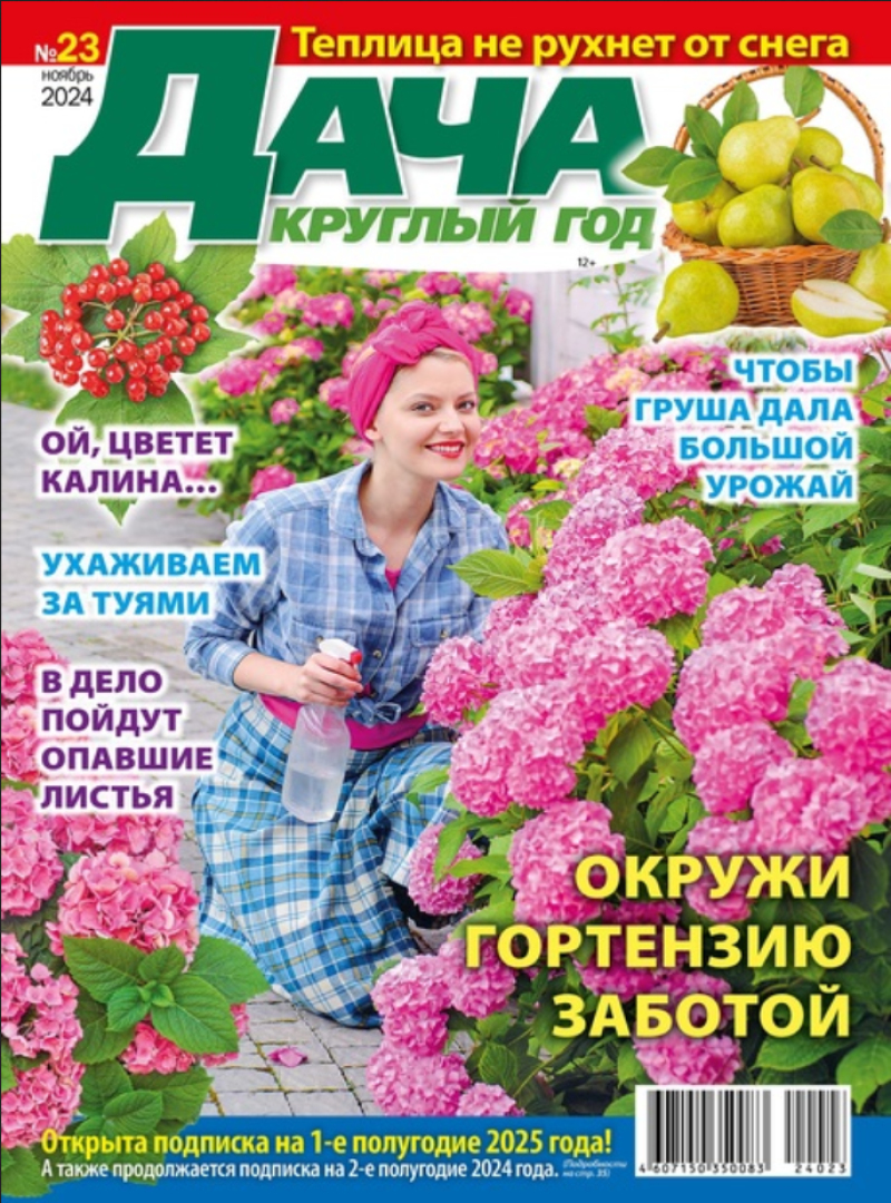 Dacha kruglyj god